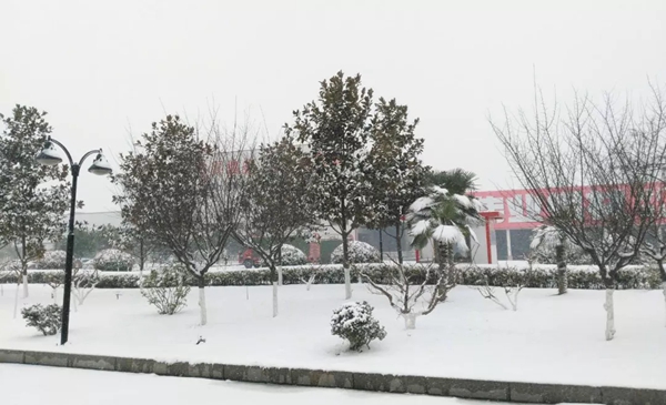 瑞雪兆丰年，伟业万象新，邀你回归童趣