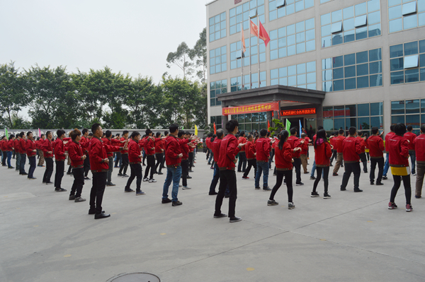 怡发门窗第二届无极咏春拳巅峰对决成功举行！