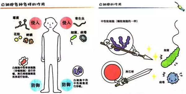 他们用健康换钱，少活十年，谁来为百万漆工的健康买单？
