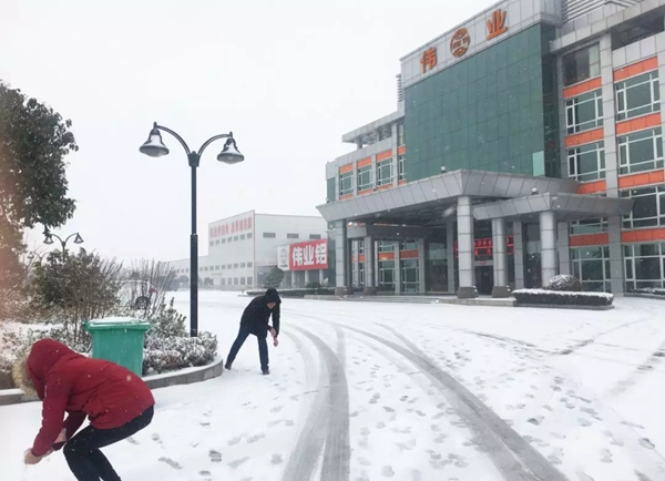 瑞雪兆丰年，伟业万象新，邀你回归童趣