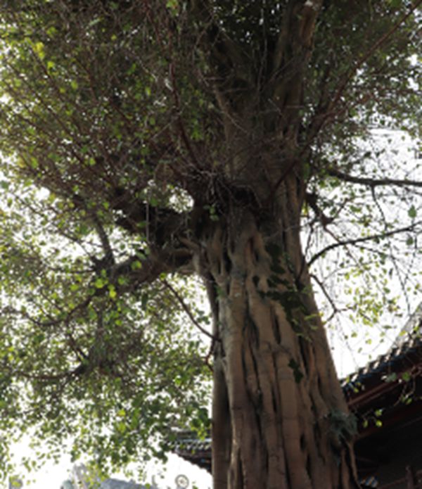 欧诺门窗冬季韶关之旅开心启程 欧诺门窗冬季韶关之旅开心启程