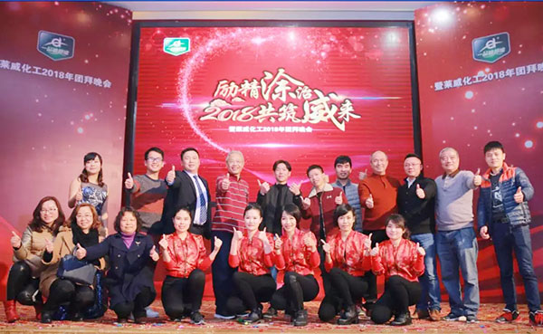 “励精涂治、共筑威来”---2018迪邦涂料年会贺新春 “励精涂治、共筑威来”---2018迪邦涂料年会贺新春