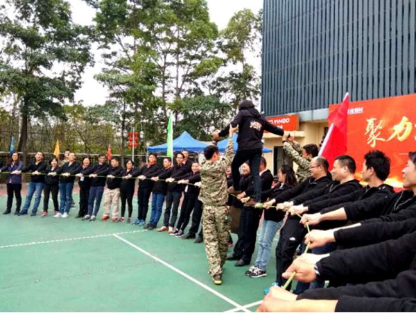广东伟业集团“聚力前行 誓争第一” 2018年度开工誓师大会隆重召开
