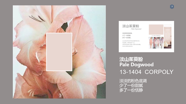 当木门展遇上发布会，看嘉宝莉如何探索涂装新门道！