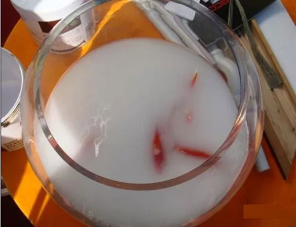 全线水性漆，定制健康家！和府全屋定制、迪浪木门聚氨酯水性漆全国上市！
