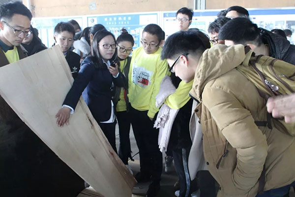 大艺树浙江分公司 大艺树浙江分公司
