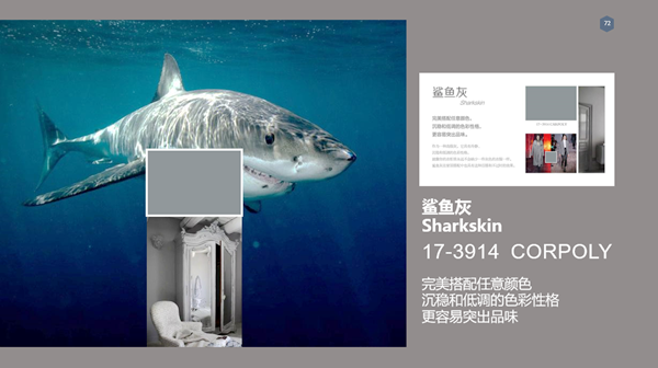 当木门展遇上发布会，看嘉宝莉如何探索涂装新门道！