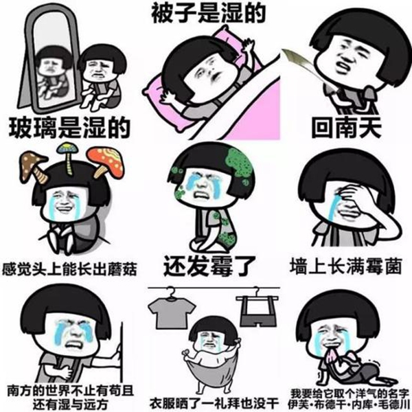 可怕的“回南天”来了 美尼美定制家具战胜潮湿