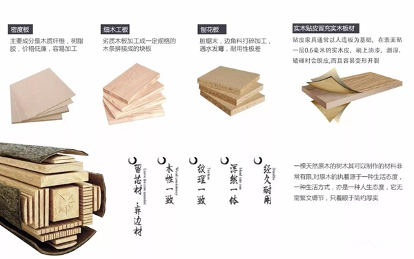 追本溯源,悟治木之道 追本溯源,悟治木之道