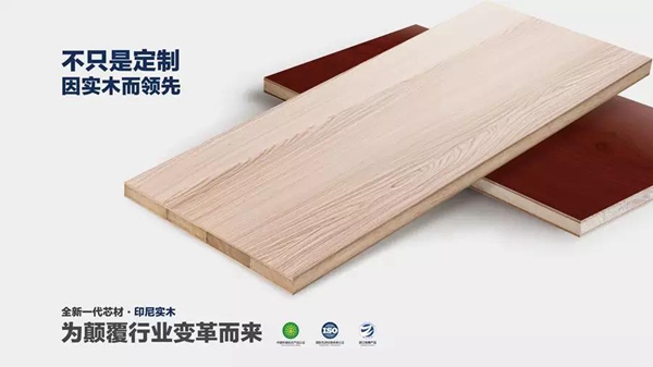 与行业共舞：布兰莎出席中国定制明星班高峰论坛
