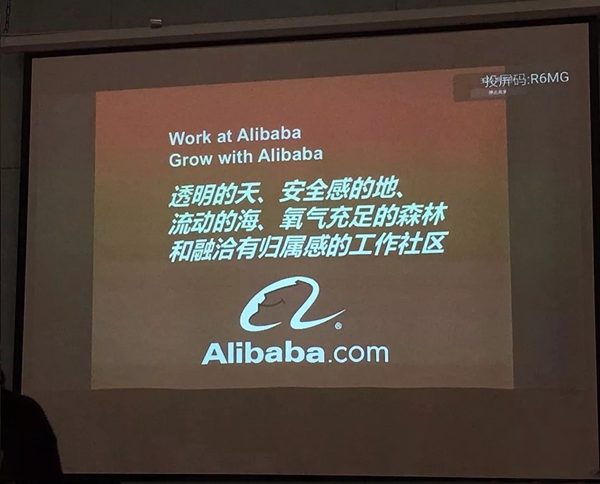 洛卡博铝木门窗——阿里寻梦之旅
