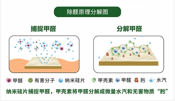 成长没“醛”恼!美尼美除醛板惠战全国,六一欢乐购不停! 成长没“醛”恼!美尼美除醛板惠战全国,六一欢乐购不停!
