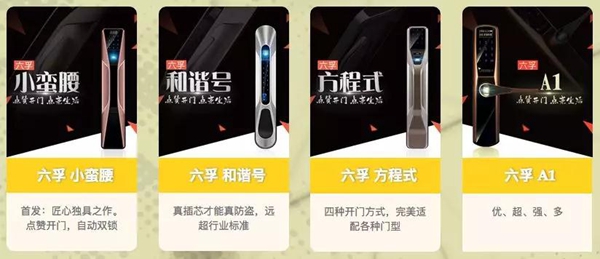 六孚智能锁：大拉手智能锁开创者——2018中国建博葵花奖考察团走访