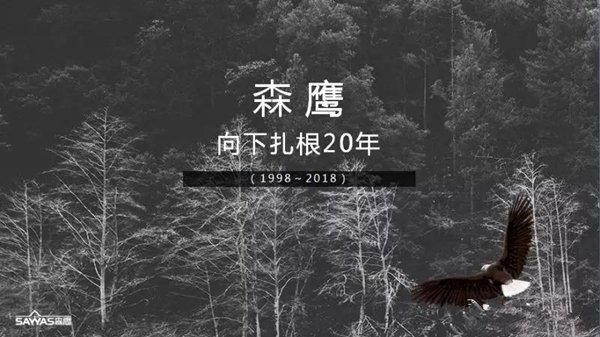 直面终端销售——森鹰窗业边书平于中国隐形冠军颁奖典礼演讲