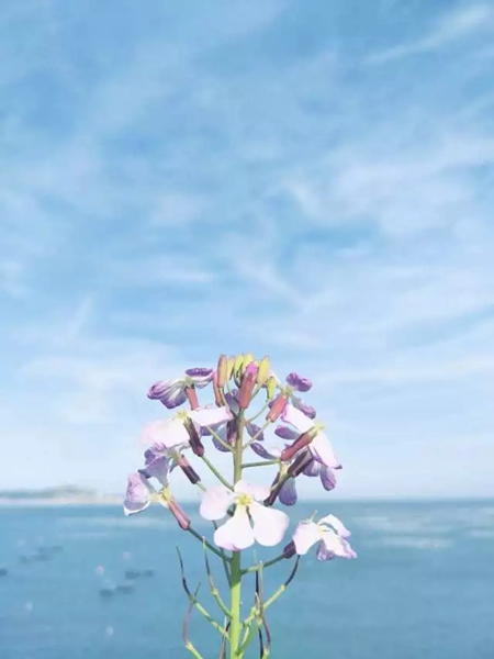 群喜木门 | 家里的时光很懒，如多瑙河般“蓝”