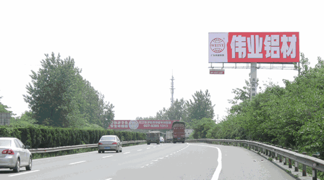 【品牌最前线】品牌实力展四方，“伟业橙”就是不一样