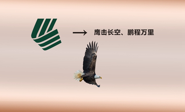 新形象·新征程：利欣雅全新品牌LOGO解读