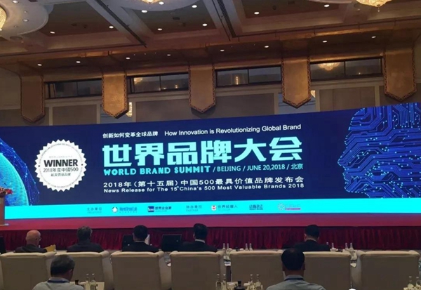 亿合门窗荣登中国500最具价值品牌榜