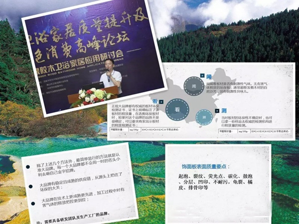 天湘板业在木质卫浴家居高峰论坛上做主题分享