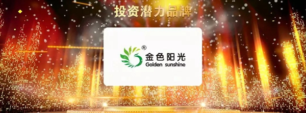 金色阳光新风窗荣获2018全国定制门窗经销商大调查“投资潜力品牌”