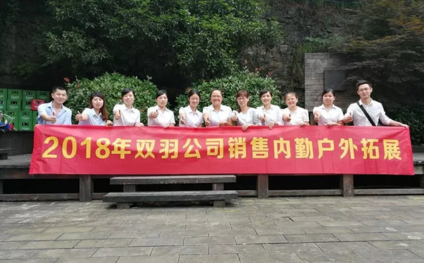 战斗力UP！服务力UP！双羽销售内勤团队户外拓展活动提升团队战斗力