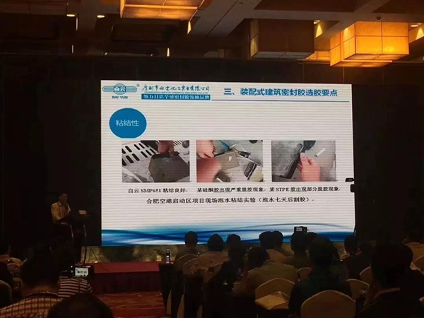 建筑之美，活力浙江，白云化工助力繁华之美