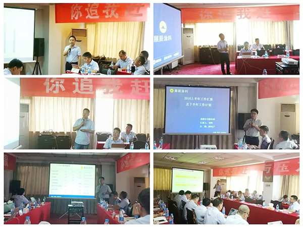 与压力共舞，与目标共赢 ——集团家具漆业务2018年中总结与计划会圆满召开