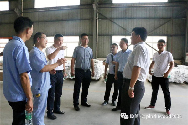 石首市政府领导莅临品度木业参观指导