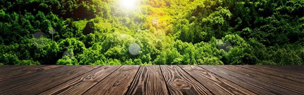 大自然地板：木种实名制应成为地板行业常态