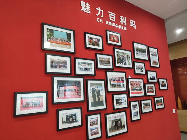 新形象·新高度·新征程——百利玛门窗2018媒体见面会圆满成功