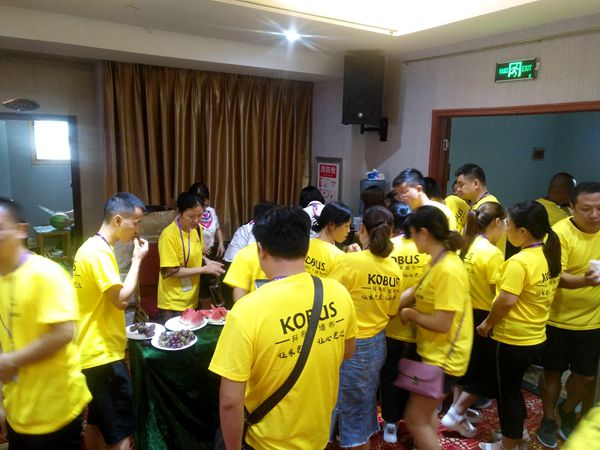 同心·共赢·齐飞跃”——科布斯2018年培训会武汉站·感恩有你圆满落幕