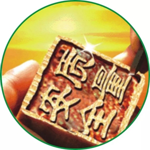 汇龙涂料全线产品升级至A+净味！