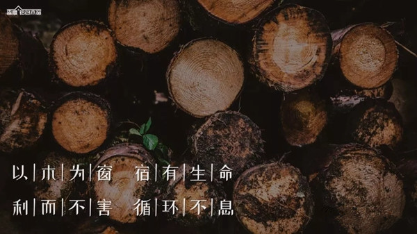 森鹰门窗迎廿周年庆 边书平董事长发表《命运·道路·使命》演讲