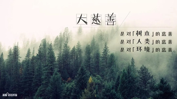森鹰门窗迎廿周年庆 边书平董事长发表《命运·道路·使命》演讲