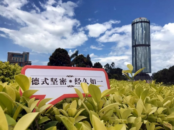 【沙巴行花絮抢看PART.3】游“东南亚最美学府”沙巴大学,赏美轮美奂水上清真”,逛集本土风情加雅街,躺看全球三大最美日落之一!