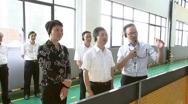 德意集团迎接杭州市委书记周江勇考察指导