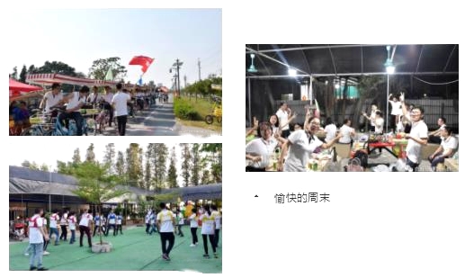 合辉铝建筑系统团队拓展活动“贤鲁岛之行”