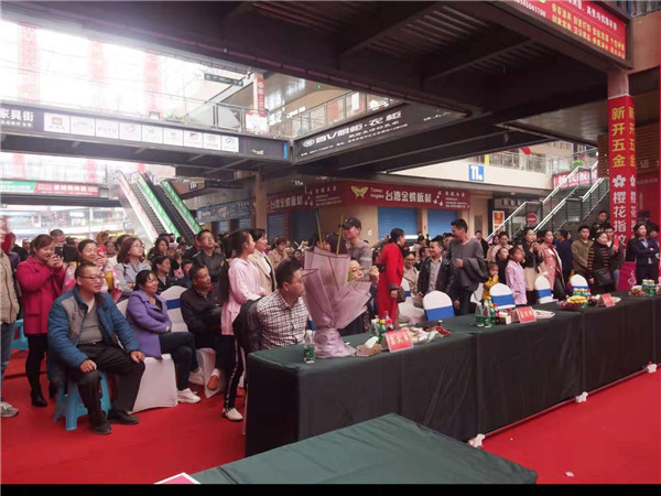 卡诺亚“安醛居家”南充站告捷，打造明星品质，亲民价位