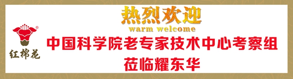 红棉花板材迎来中国科学院老专家技术中心考察组
