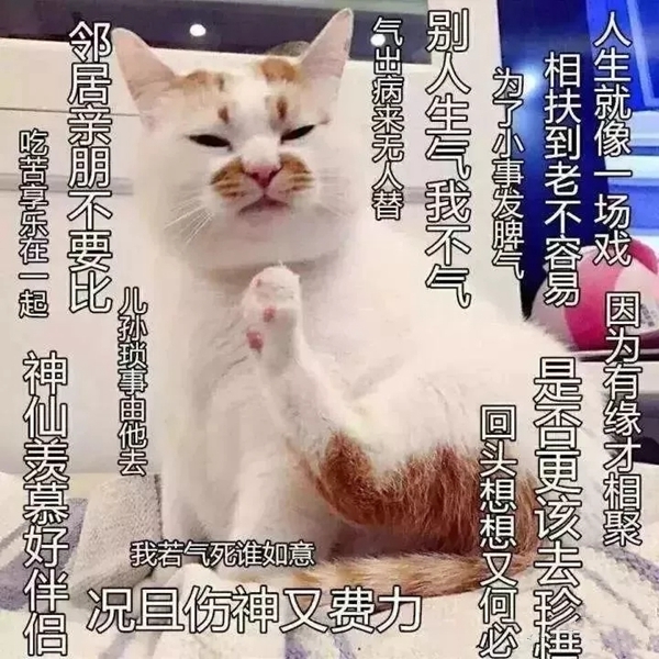 丽博橱柜怎么样，给你一场佛系生活