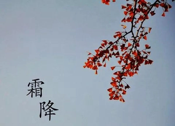 【蒙特欧门窗】又是一年霜降时，秋天门窗该怎么保养？