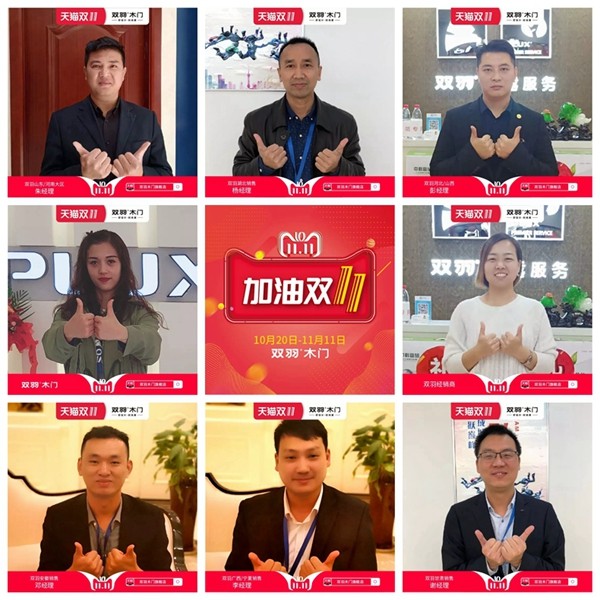 双羽木门狂欢序幕拉开，双11预售战正式打响！
