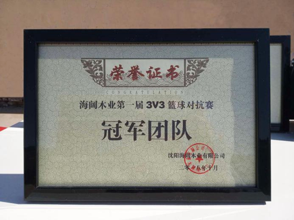 2018沈阳海阔木业首届「思诺杯」3V3篮球对抗赛圆满落幕