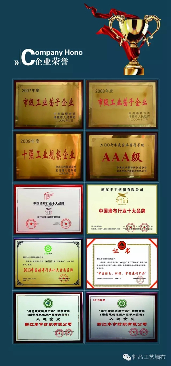 【轩品】朋友，轩品工艺墙布了解一下？