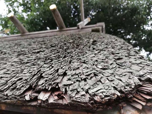 欧神诺陶瓷卡萨罗纵横世界之旅：别样角度，为你呈现真实的日本