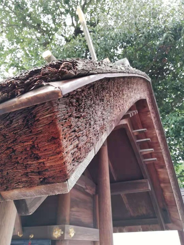 欧神诺陶瓷卡萨罗纵横世界之旅：别样角度，为你呈现真实的日本