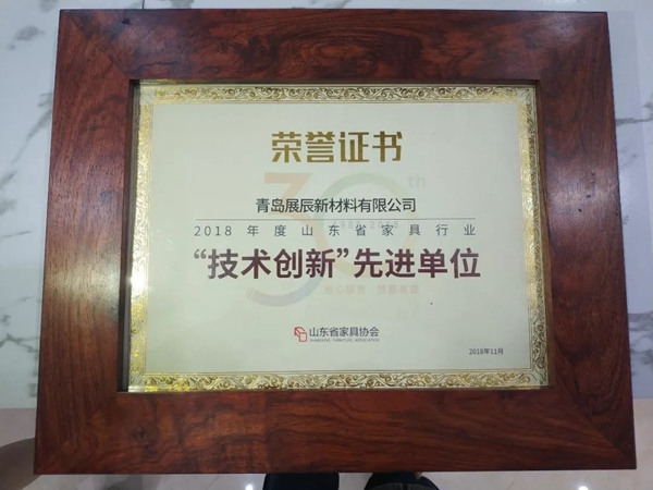 展辰荣获“技术创新先进单位，助力山东家具产业大发展！