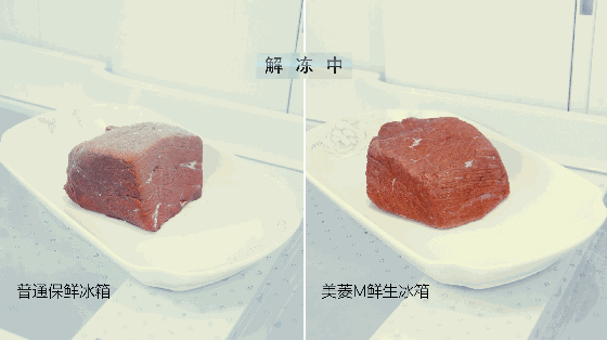 美菱冰箱实力超群,荣获“2018年中国电冰箱行业保鲜领导品牌”大奖