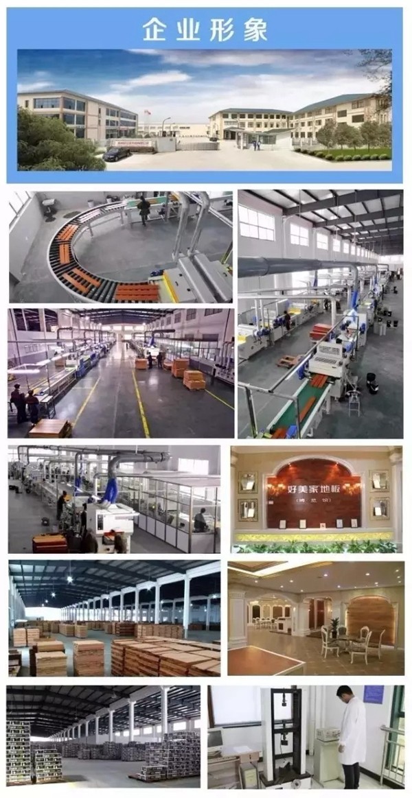 好美家地板出席世界木地板大会并荣膺中国地板质量售后服务金奖