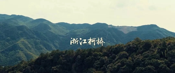 轩尼诗无缝墙布(红旗布业):因为专业的人做专业的事最酷,所以我走上卖墙布这条路!
